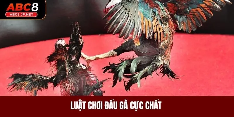 Luật chơi đấu gà cực chất